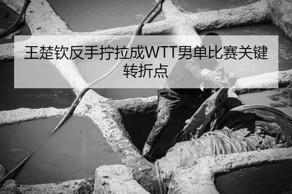 王楚钦反手拧拉成WTT男单比赛关键转折点