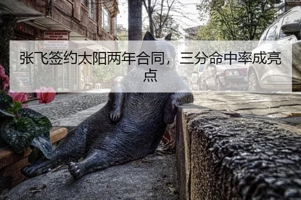 张飞签约太阳两年合同，三分命中率成亮点